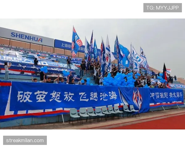 申花外援高效表现难掩进攻单一问题，当前赛季层次感明显受限